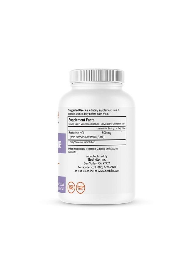 BESTVITE Berberine 500mg (120 Vegetarian Capsules) - No Fillers - No Stearates - No Flow Agents - Vegan - Gluten Free - Non GMO  - Image 2