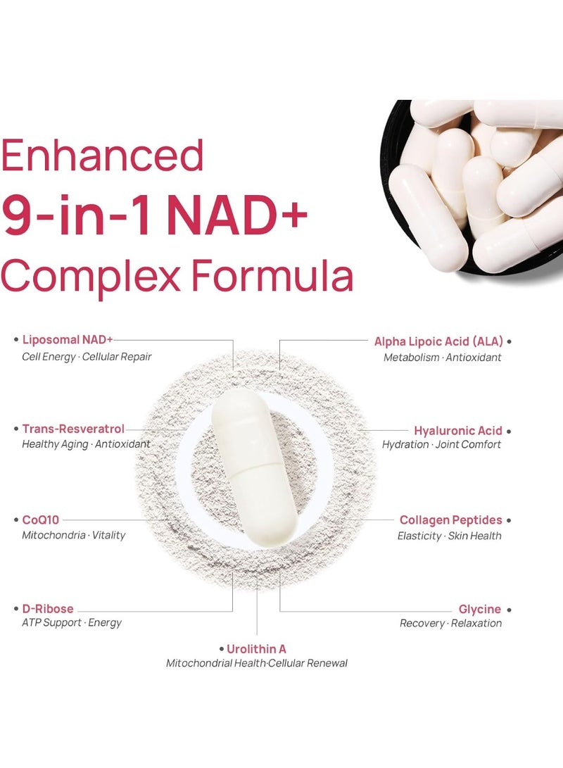 Selerb NAD+ Supplement for Women - NMN Alternative with β-NAD+, Trans-Resveratrol, CoQ10, D-Ribose - Promotes Cellular Renewal, Energy, and Radiant Skin Health - 60 Capsules 2 Packs Advanced - Image 3