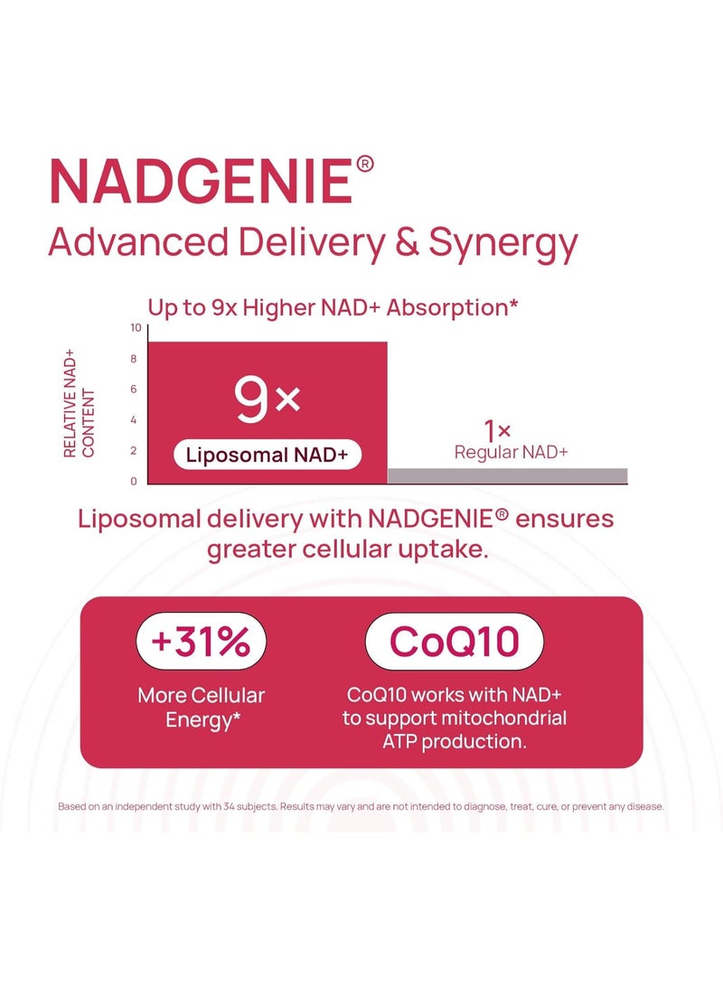 Selerb NAD+ Supplement for Women - NMN Alternative with β-NAD+, Trans-Resveratrol, CoQ10, D-Ribose - Promotes Cellular Renewal, Energy, and Radiant Skin Health - 60 Capsules 2 Packs Advanced - Image 4
