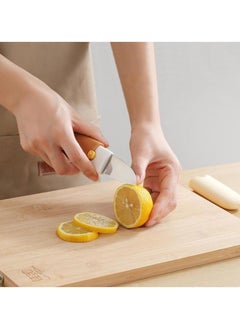 Generic 2 in 1 Potato Peeler with Knife Stainless Steel Portable Knife Peeler Set Vegetable Peeler Fruit Peeler for Office Kitchen Camping Hiking  - Image 3