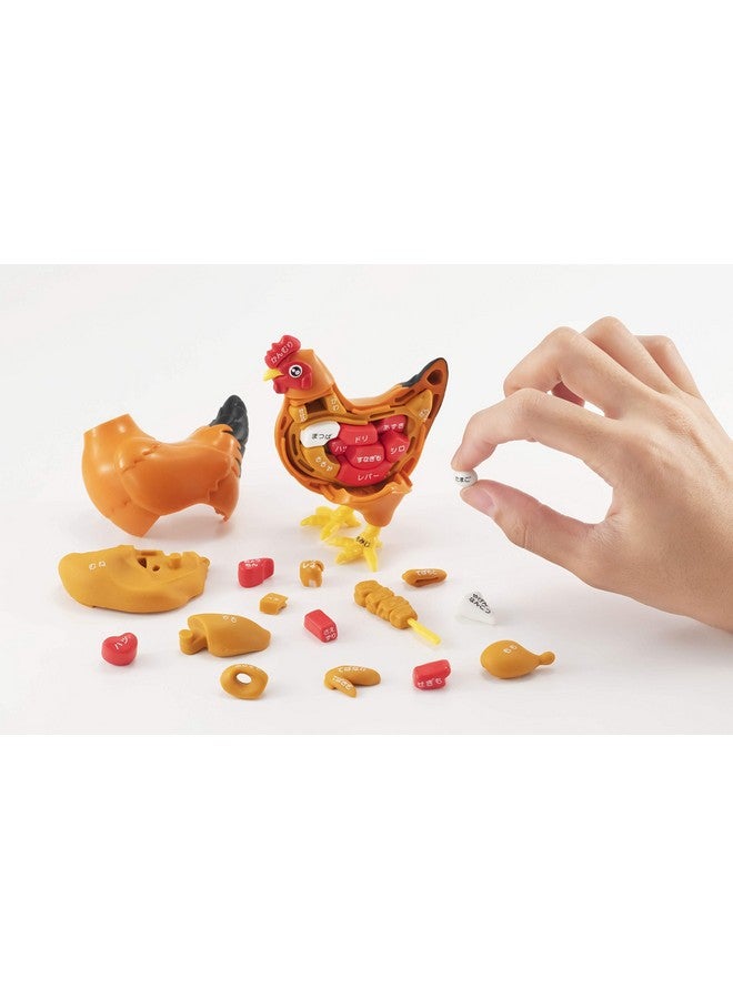 MegaHouse Chicken Puzzle Kaitai Puzzle - Image 1