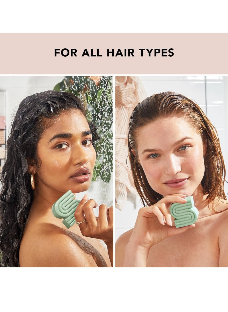 كيتش شامبو بار شجرة الشاي والنعناع المنقي لمكافحة قشرة الرأس شامبو مضاد للقشرة لفروة الرأس الحاكة شامبو خالي من الكبريتات شامبو نباتي لجميع أنواع الشعر - Image 3