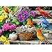 VOLUVOLU 300 Piece Puzzle for Adults Colorful Birds Jigsaw Puzzle Colorful Hummingbird Animals Puzzles Bird Lover Challenging Puzzles for Friends Family Activity Game Nights Gifts 205x15 in - Image 3
