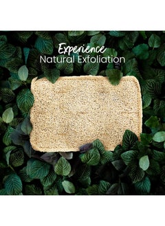 Fabskin Natural Organic Sun Dried Bath Loofah I Body Sponge & Scrubber For Men & Women I Organic Luffa For Bath Shower Skin Exfoliation (Pack Of 2)  - Image 3