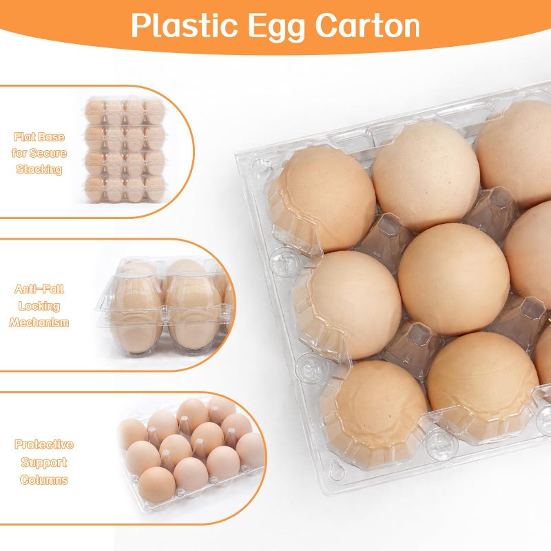 WIKDAY Plastic Egg Cartons 60 Pack 12 Count Cheap Bulk Clear Dozen Reusable Empty Egg Containers for Chicken Eggs Storage with Date Tracking Stickers Egg Care Instructions - Image 5