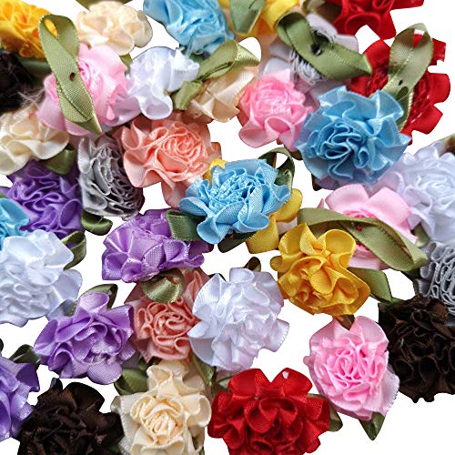 Chenkou Craft 40pcs Ribbon Flowers Bows Carnation Appliques Sewing Craft (Multi) - Image 1