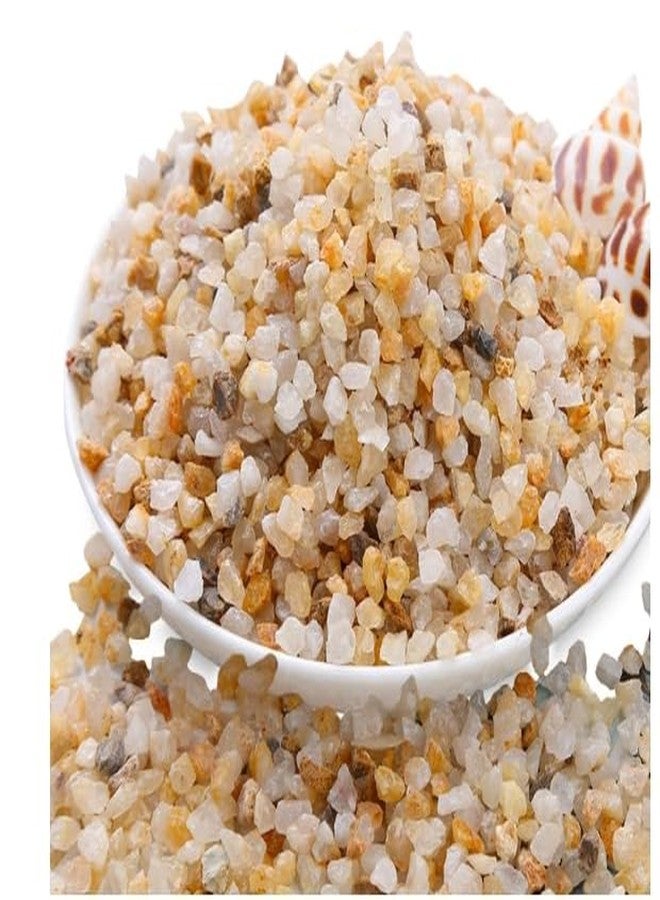 Quantum Retail Quartz Pabble Stone - Image 3