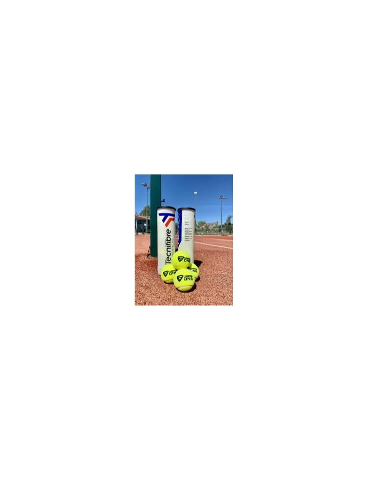 TecniFibre Tecnifibre Champion Tennis Balls  - Image 4