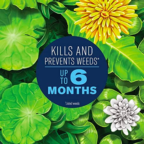 BioAdvanced Season Long Lawn Weed Killer + Preventer for Southern Lawns 10 LB Granules, 4,000 SQ FT - Image 3