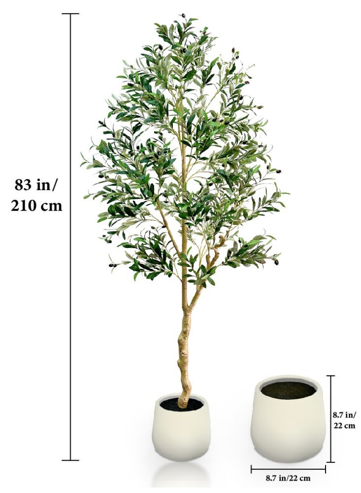 MUXUE Artificial Olive Tree 6.9FT (210cm) with White Pot - 1580 Leaves & 86 Fruits, Large Faux Plant for Indoor Home Decor, Housewarming & Grand Opening Gift - Image 3