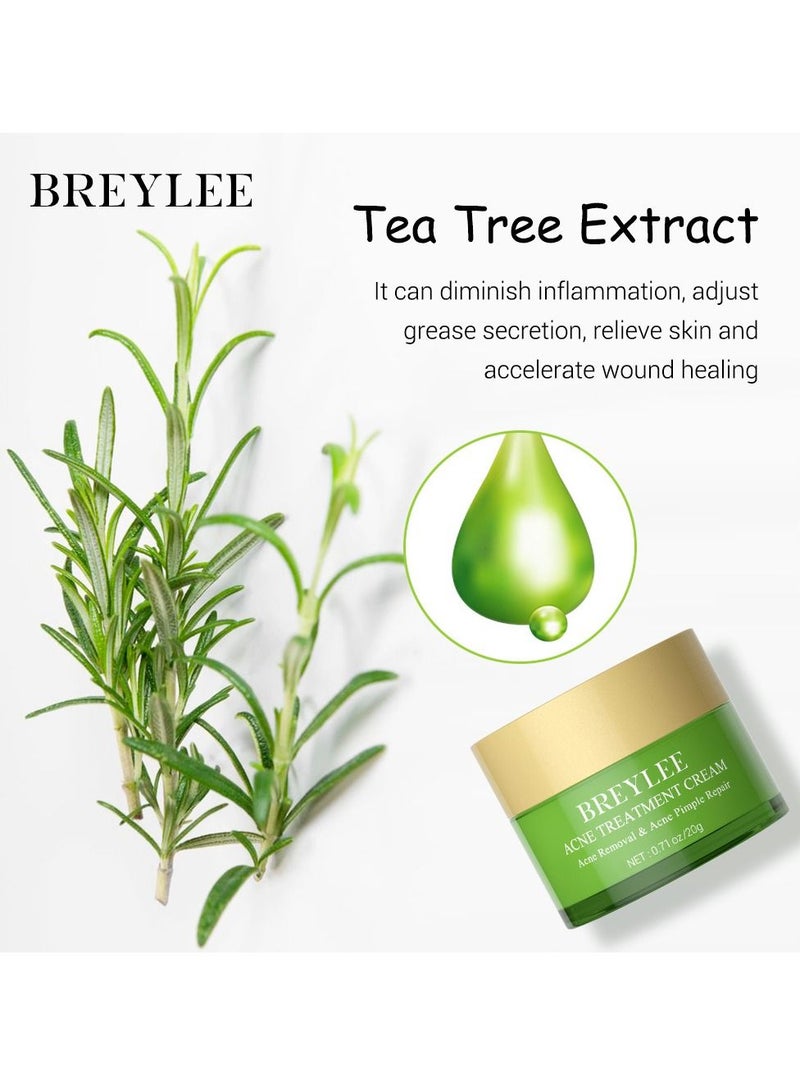 Breylee Acne treatment cream acne removal acne pimple repair cream 20g - Image 3