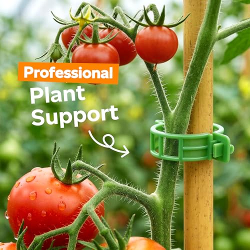 LOOHOI 100pcs Tomato Clips for Climbing plants, Plastic Trellis Plant Support Clips for Garden, Reusable Clips for Supporting Grape Tomato Vine and Vegetables Plants to Grow Upright Makes Plants Healthier - Image 2