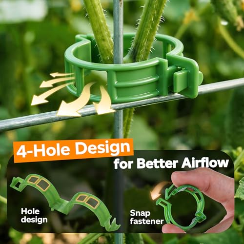 LOOHOI 100pcs Tomato Clips for Climbing plants, Plastic Trellis Plant Support Clips for Garden, Reusable Clips for Supporting Grape Tomato Vine and Vegetables Plants to Grow Upright Makes Plants Healthier - Image 4