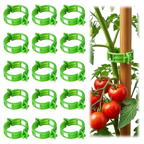 LOOHOI 100pcs Tomato Clips for Climbing plants, Plastic Trellis Plant Support Clips for Garden, Reusable Clips for Supporting Grape Tomato Vine and Vegetables Plants to Grow Upright Makes Plants Healthier - Image 1