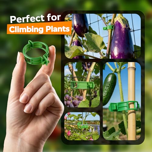 LOOHOI 100pcs Tomato Clips for Climbing plants, Plastic Trellis Plant Support Clips for Garden, Reusable Clips for Supporting Grape Tomato Vine and Vegetables Plants to Grow Upright Makes Plants Healthier - Image 5