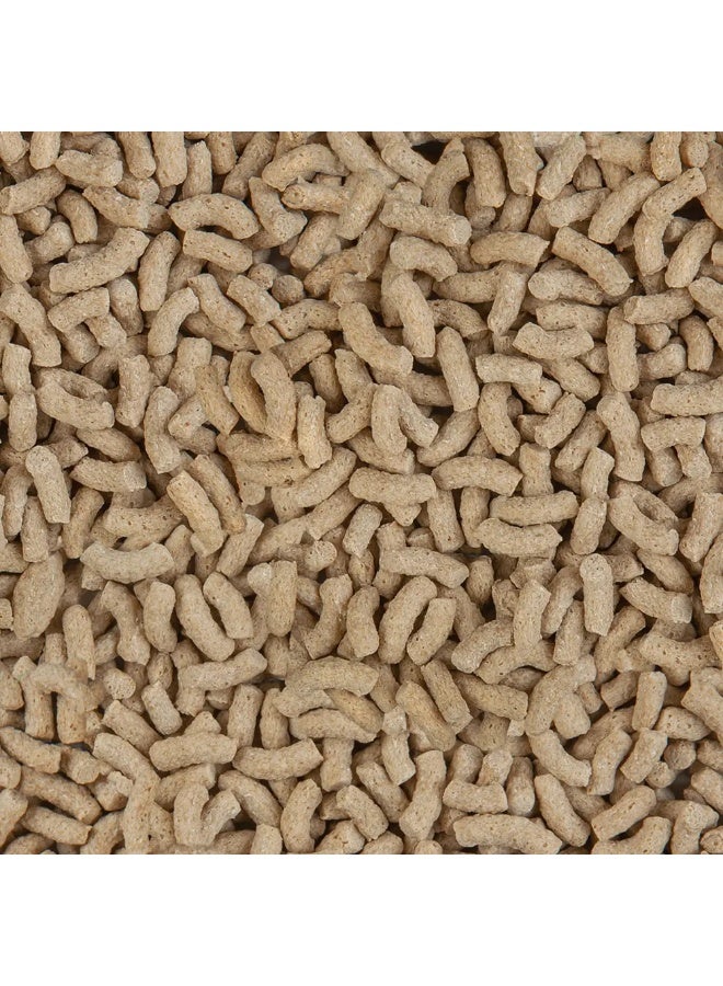 Sera عصي لون سيرا بركة الطبيعة [الحجم - 3800 مل، الوزن - 600 جرام] - Image 2