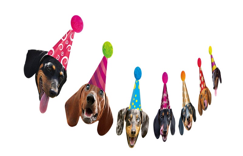 Silvima Dachshund Birthday Garland, Funny Wiener Dog Bday Party Decor, Dog Face Bunting Banner - Image 1