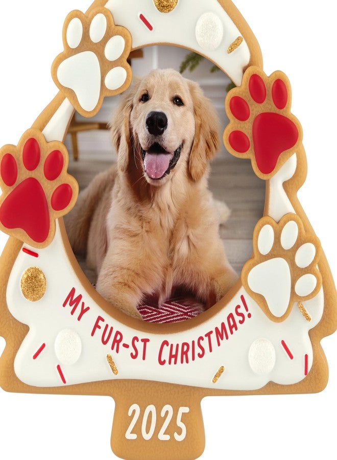 Hallmark Keepsake Christmas Ornament 2025, My Fur-st Christmas 2025 Photo Frame, Pet Gifts - Image 5