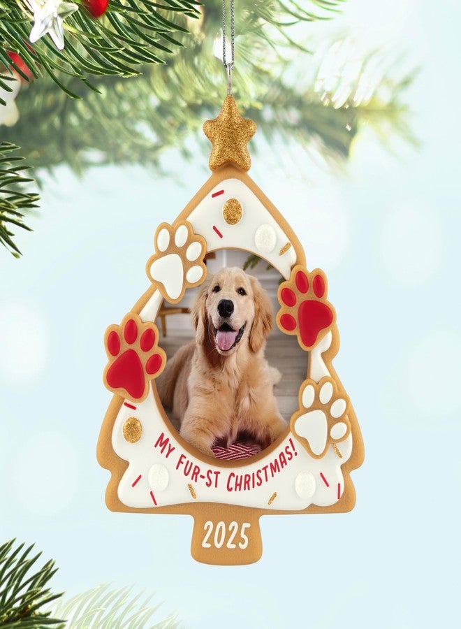 Hallmark Keepsake Christmas Ornament 2025, My Fur-st Christmas 2025 Photo Frame, Pet Gifts - Image 3
