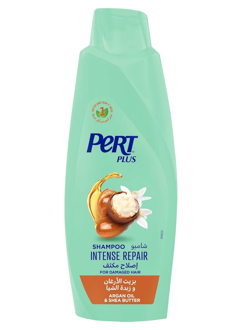 شامبو الإصلاح المكثف بمستخلصات الزيت
