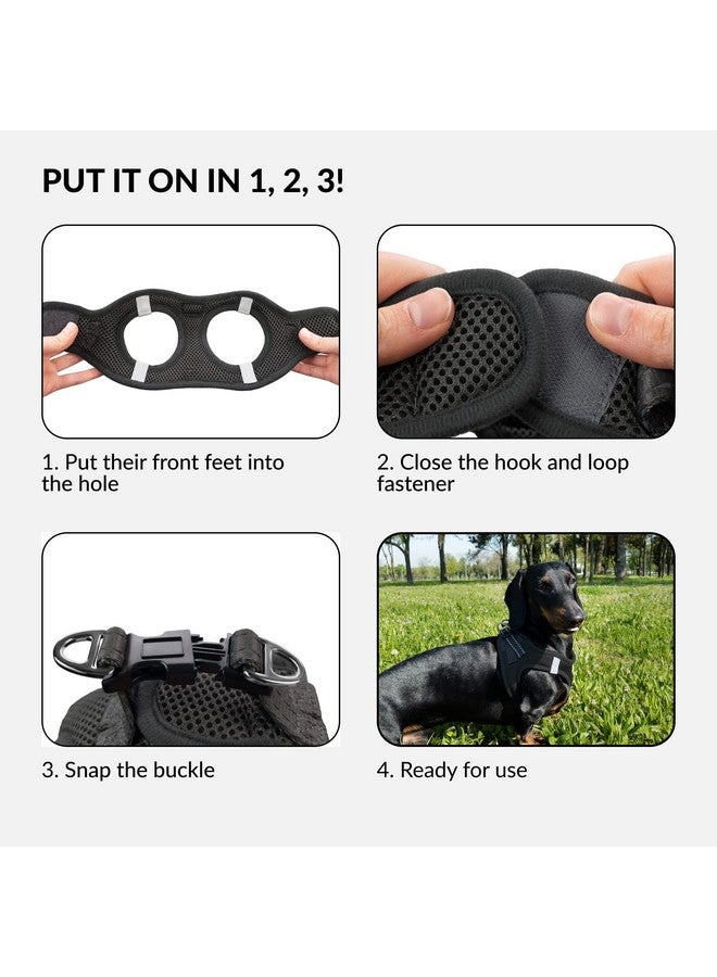 CollarDirect Step-in Reflective Dog Harness - Any Weather Air Mesh for Small and Medium Dogs Easy to Put On and Off (Size XS, Black) - Image 4