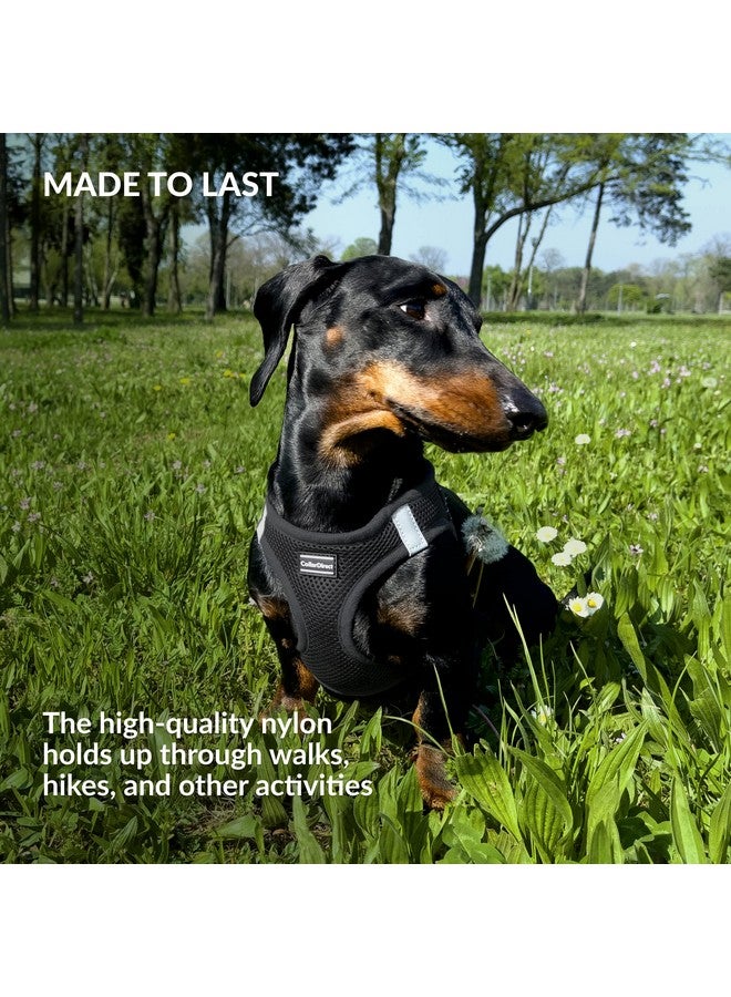 CollarDirect Step-in Reflective Dog Harness - Any Weather Air Mesh for Small and Medium Dogs Easy to Put On and Off (Size XS, Black) - Image 5
