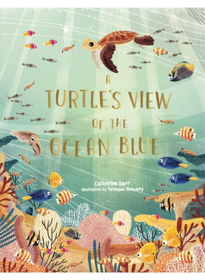 A Turtle s View of the Ocean Blue - Hardback
