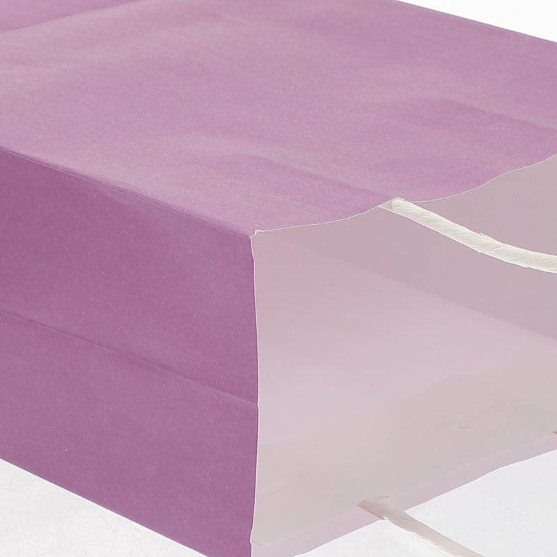 12 Colorful Paper Bags With Handles For Party Candy Presents Retail Packaging - Image 5