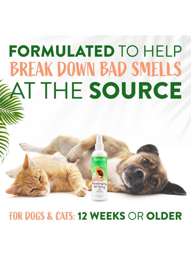 TropiClean Papaya Dog Perfume Spray Long Lasting | Naturally Derived Odor Removing Dog Deodorizing Spray | Cat Friendly | Made In Usa | 8 Oz.  - Image 4