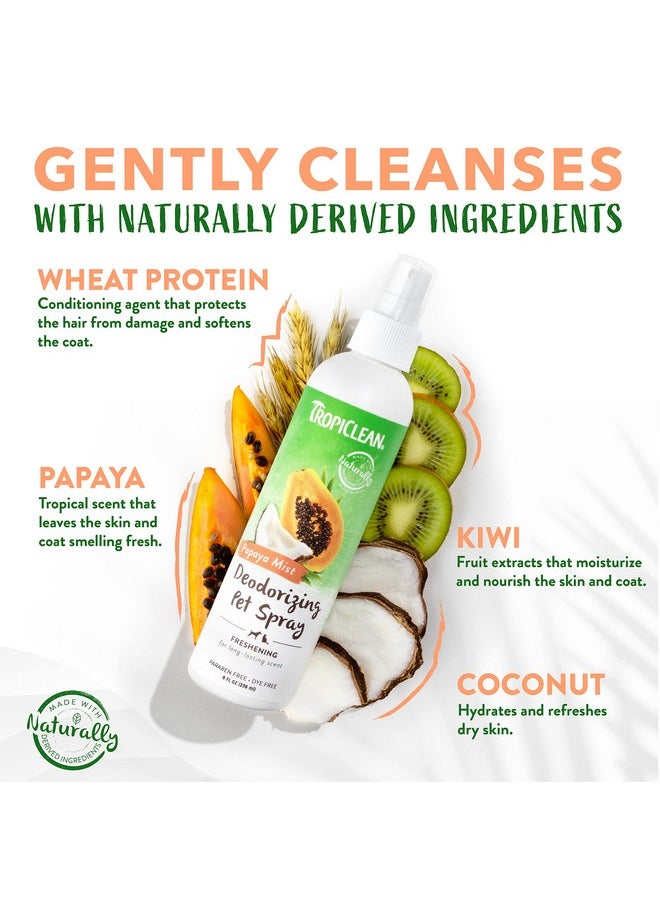 TropiClean Papaya Dog Perfume Spray Long Lasting | Naturally Derived Odor Removing Dog Deodorizing Spray | Cat Friendly | Made In Usa | 8 Oz.  - Image 3