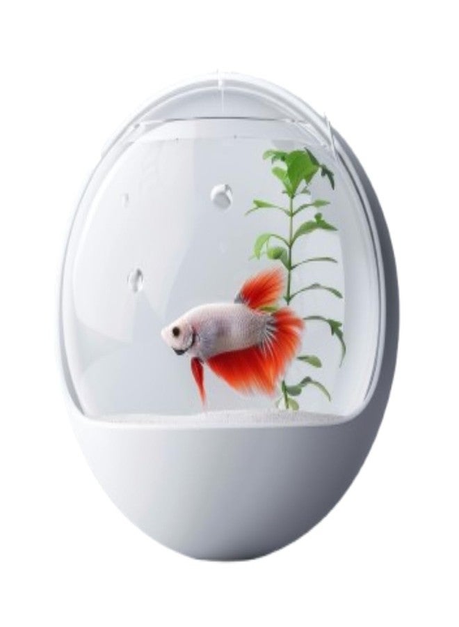 Scroll Store Wall Hanging Fish Bowl | Wall Mount Fish Bowl Acrylic for Your Home and Office with Free Color Pebbles and Screw (9 Inch) - Image 1