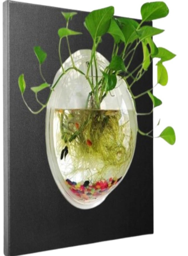 Scroll Store Wall Hanging Fish Bowl | Wall Mount Fish Bowl Acrylic for Your Home and Office with Free Color Pebbles and Screw (9 Inch) - Image 3