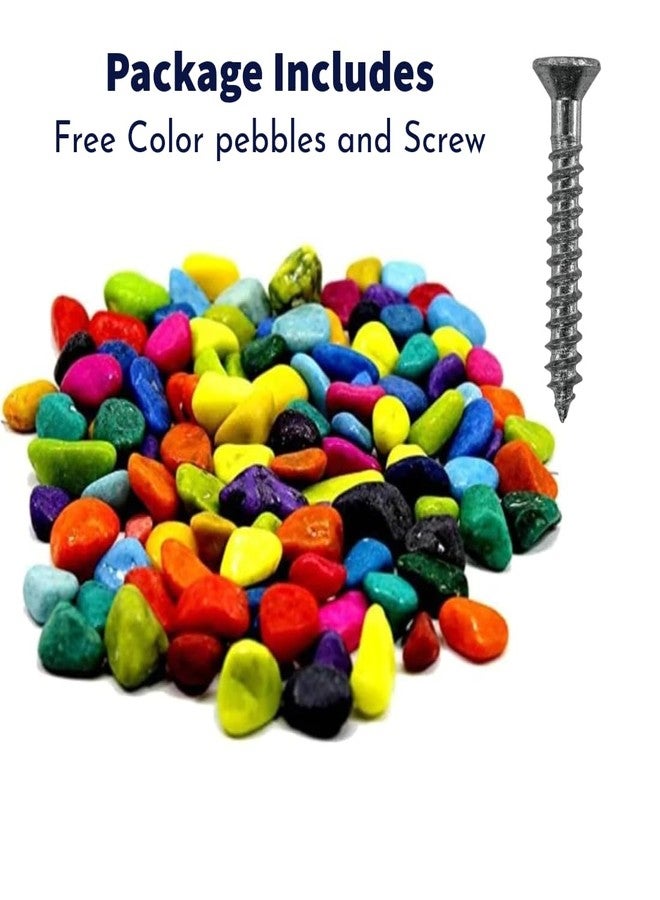 Scroll Store Wall Hanging Fish Bowl | Wall Mount Fish Bowl Acrylic for Your Home and Office with Free Color Pebbles and Screw (9 Inch) - Image 4