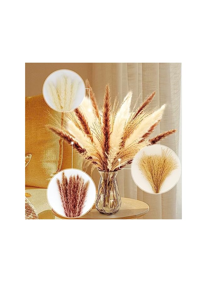 The Bros 60 Pcs | 15 Pcs White Pampas & 15 Pcs Brown Pampas & 30 Pcs Reed Grass Natural Dried Pampas Grass for Flower Arrangements Home Decor - Image 5