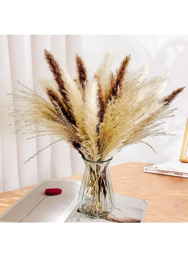 The Bros 60 Pcs | 15 Pcs White Pampas & 15 Pcs Brown Pampas & 30 Pcs Reed Grass Natural Dried Pampas Grass for Flower Arrangements Home Decor - Image 1