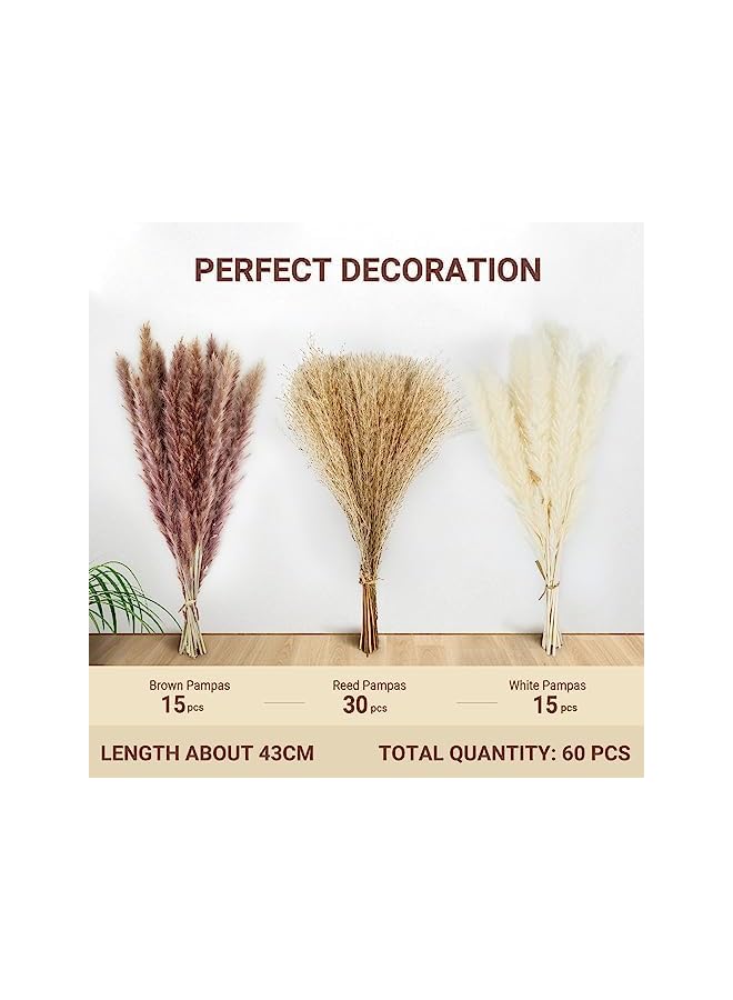 The Bros 60 Pcs | 15 Pcs White Pampas & 15 Pcs Brown Pampas & 30 Pcs Reed Grass Natural Dried Pampas Grass for Flower Arrangements Home Decor - Image 2