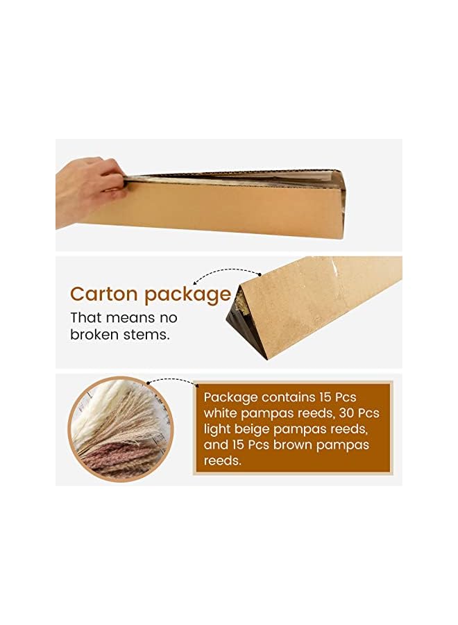 The Bros 60 Pcs | 15 Pcs White Pampas & 15 Pcs Brown Pampas & 30 Pcs Reed Grass Natural Dried Pampas Grass for Flower Arrangements Home Decor - Image 3