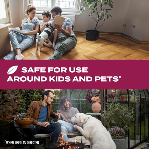 STEM Kills Ants, Roaches And Flies: Plant-Based Active Ingredient Bug Spray, Botanical Insecticide For Indoor And Outdoor Use; 12 fl oz (Pack Of 1) - Image 3