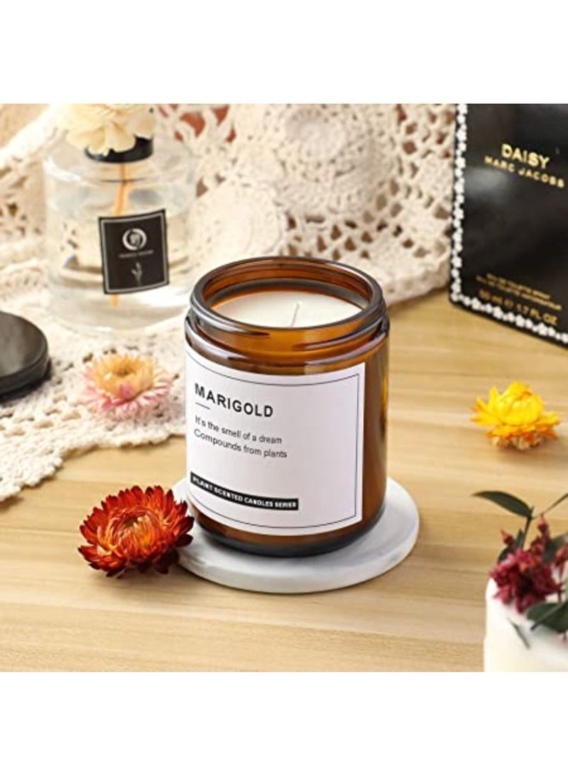 QUESERA Thick Amber Round Glass Jars with 12 Metal   Plastic Lids Pack of 12 8oz - Image 2