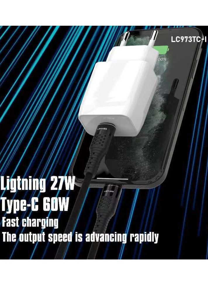 Lenyes Fast Charging Data Cable Type C to C, 60W - Image 2