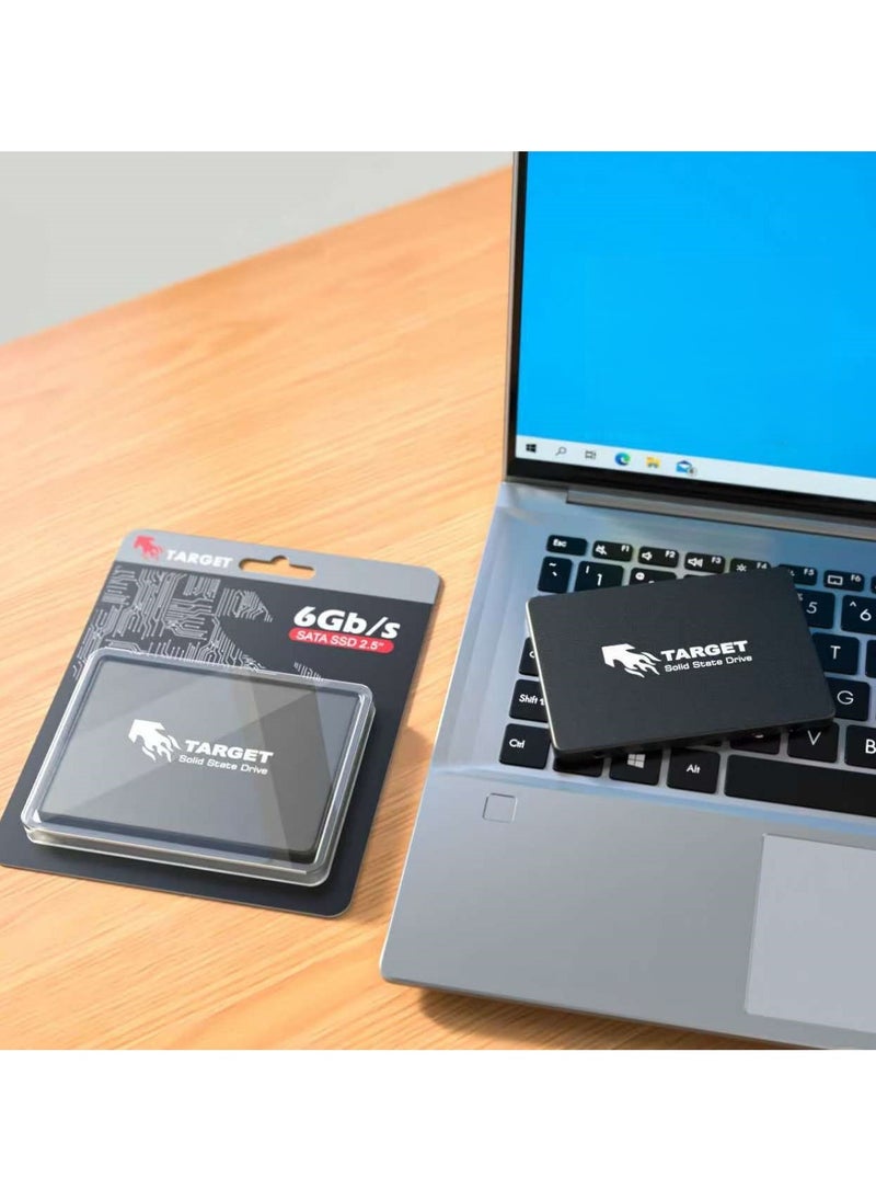 TARGET 1TB SATA III 2.5" Solid State Drive – 6Gb/s