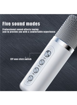 Karaoke Machine with 2 Wireless Microphone,Portable Bluetooth Speaker with HD Sound PA System Support Echo and Vocal Cut,USB,SD, AUX Input for Party, Meeting, Wedding, Home and Outdoor (White) - view 4