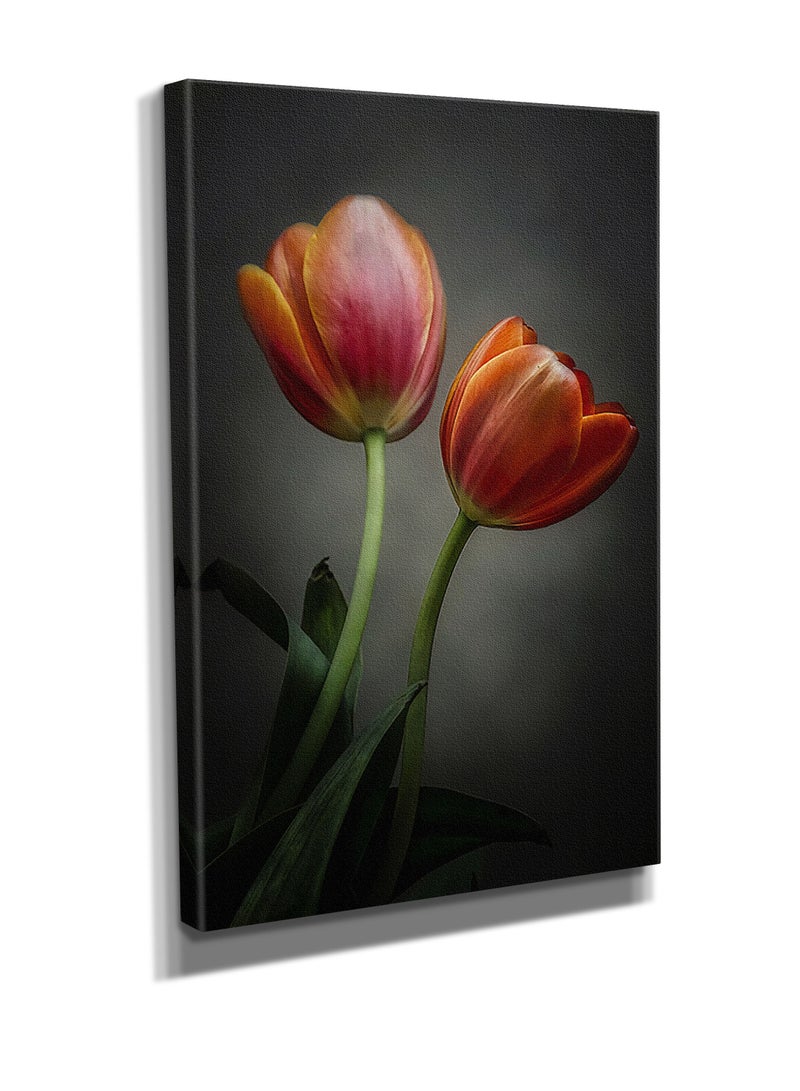 مودكلاس لوحة جدارية كانفس بتصميم وردة - Image 2