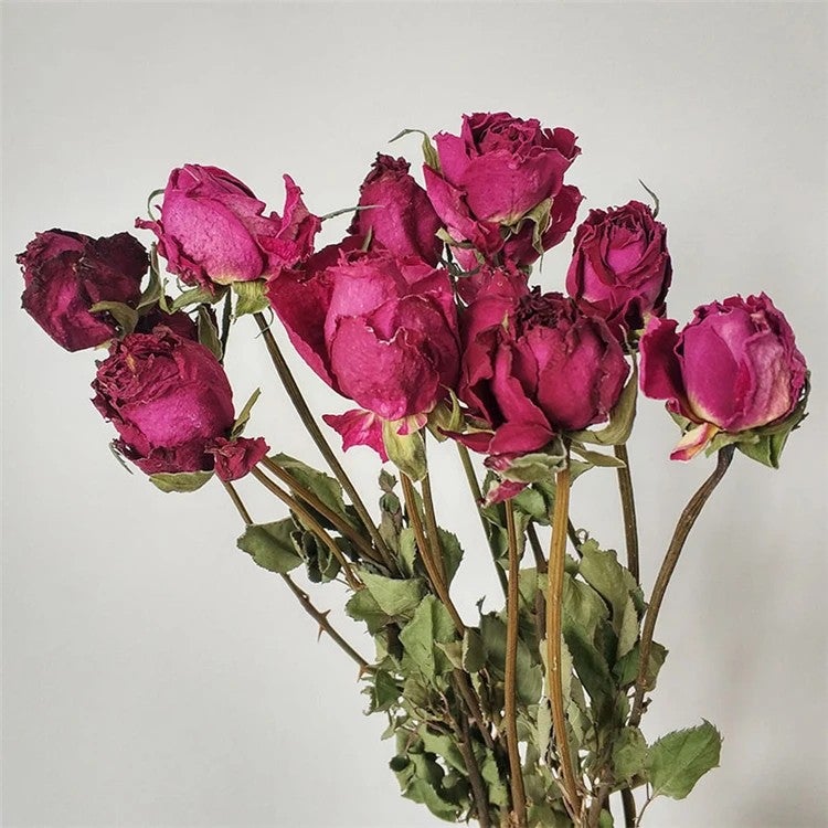 Bluejw M008 Natural Dried Roses Bouquet - Forever Lasting Decor, Real Dry Flowers & Plants Arrangement - Image 1
