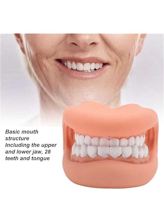 Mouth Puppet with Tongue Speech Learning, Soft Silicone Giant Teeth Dental Demonstration Model, Mouth Model for Brushing Teeth, 28 Teeth - Image 2