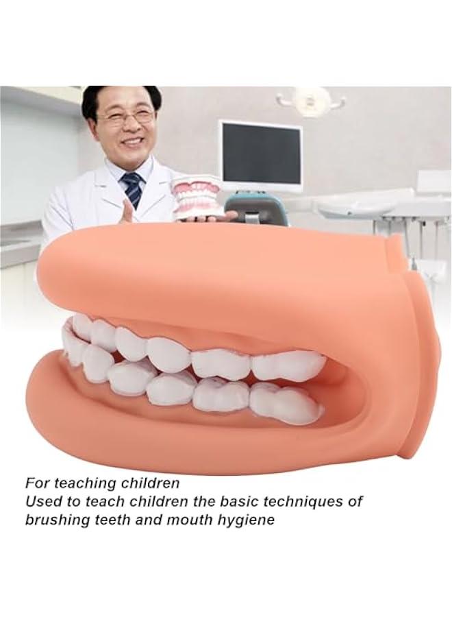 Mouth Puppet with Tongue Speech Learning, Soft Silicone Giant Teeth Dental Demonstration Model, Mouth Model for Brushing Teeth, 28 Teeth - Image 3