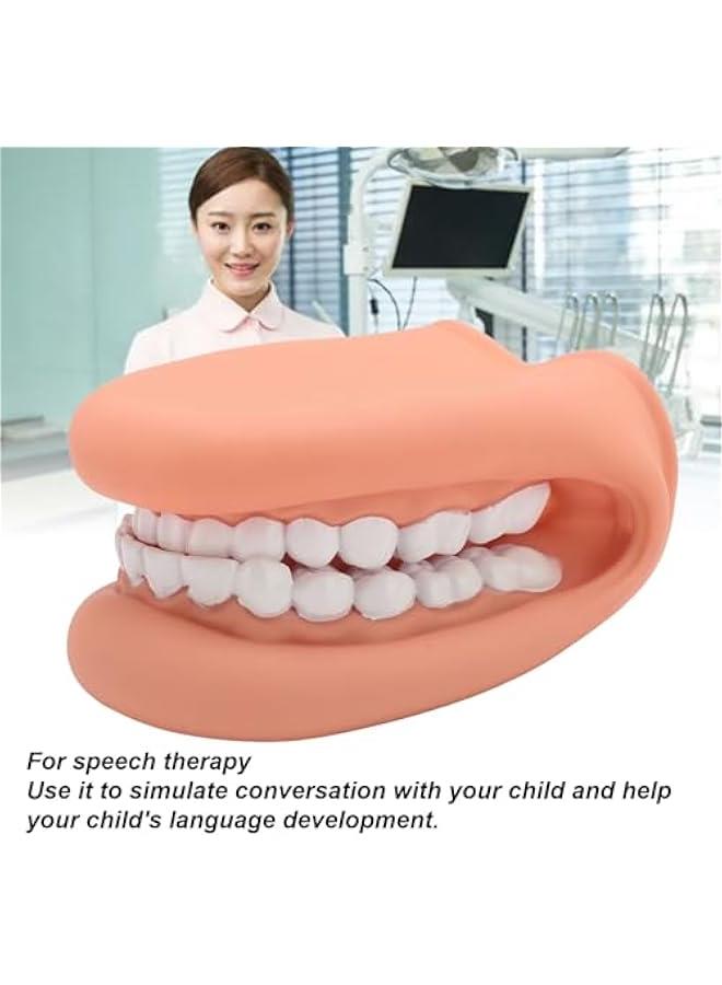 Mouth Puppet with Tongue Speech Learning, Soft Silicone Giant Teeth Dental Demonstration Model, Mouth Model for Brushing Teeth, 28 Teeth - Image 4