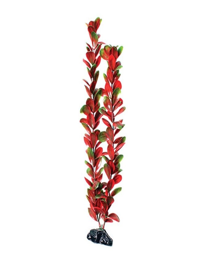 Underwater Treasures Red/Green Bacopa - 20" - Image 2