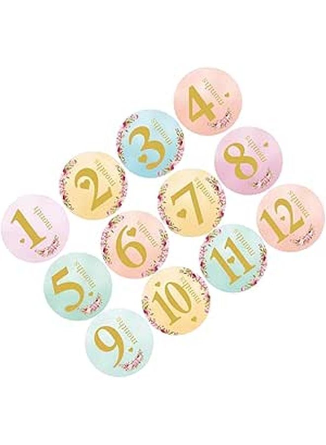 Round Baby Milestone Stickers For Newborn Photo Sessions 6 Month Set - Image 1