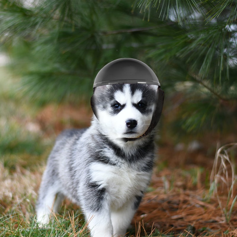 Pet Helmet Decorative Dog Helmet Dog Safety Hat Dog Spoof Helmet - Image 4